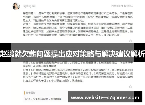 赵鹏就欠薪问题提出应对策略与解决建议解析